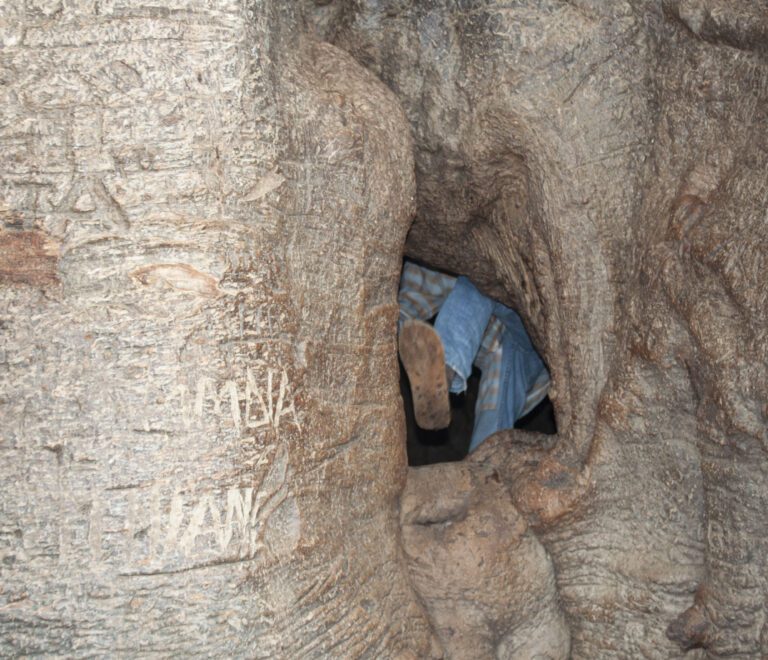 Grand Baobab Mbour